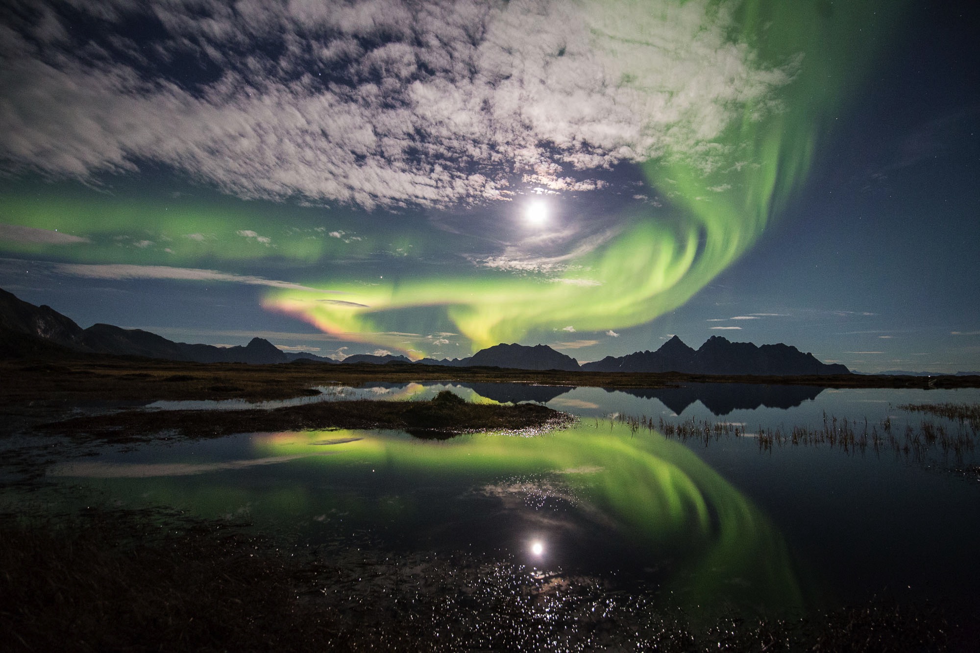 Northern lights reflecting in a lake on Lofoten Islands